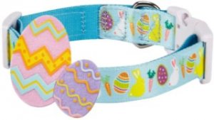 blue easter collar